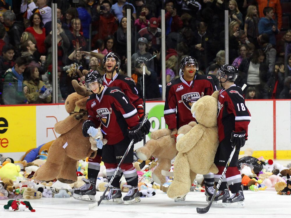 Vancouver Giants in Teddy Bear Toss jersey dive into a bile of bears -  December 8, 2019 Photo on OurSports Central