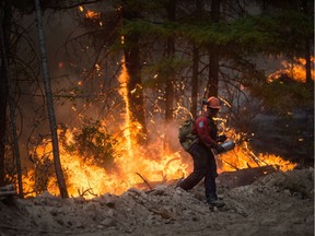 B.C. Wildfire Service firefighter Max Arcand uses a torch to ignite dry brush during a controlled burn to help prevent the Finlay Creek wildfire from spreading near Peachland, B.C., on Thursday, September 7, 2017.