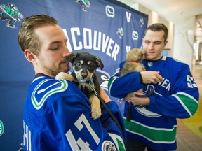 Sven Baertschi with Bo Horvat and some pups at an SPCA fundraising event back in February.