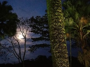 A moonlit view from the lush grounds of SarapiquiS Rainforest Lodge.