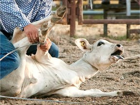 The organizers of a protest against a rodeo being held this weekend in Chilliwack say they are cancelling the demonstration after receiving threats.