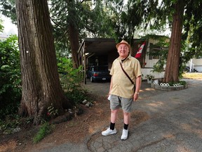 Richard Lansdale at a stand of trees he says are about 400 years old.