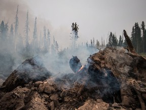 To help people affected by the wildfires that are burning around B.C., the Province of British Columbia will match all donations to the Red Cross, up to $20 million.