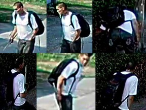 Vancouver police are seeking a firebug in east Vancouver captured on surveillance video who caused more than $100,000 in damage.