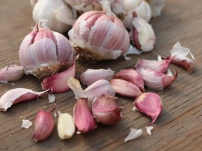 Oct 18, 2016 - Weird, wild and wonderful. Spanish Roja garlic, one of the wild plants. It's time for a last-hurrah project before the garden gets put to bed. Here are some weird, wild and wonderful plants to add at the last minute to give you something more to look forward to next spring. With Steve Whysall In the Garden story [PNG Merlin Archive]
