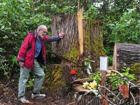 David Hancock, an environmentalist who is concerned about the loss of a tree that had an eagle's nest in Surrey.