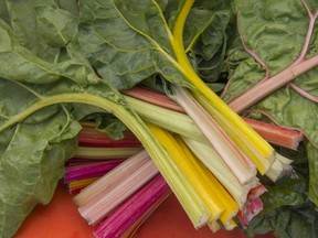 Multi-coloured Swiss chard plants are pretty enough to grow in a flower bed, notes Helen Chesnut.