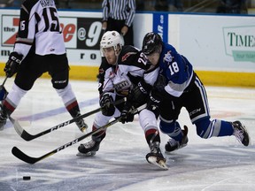 Vancouver Giants captain Jared Dmytriw — a former Victoria Royal — battles for a puck with Tarun Fizer of the Royals on Saturday.