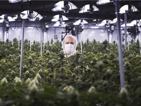 Neil Closner, MedReleaf, chief executive officer poses for photographs at the growing facility in Markham, Ont., on Thursday, January 7, 2016. Aurora Cannabis Inc. has a friendly deal to acquire MedReleaf Corp. in an all-stock transaction valued at $3.2 billion, creating a company capable of producing more than 570,000 kilograms of marijuana per year.