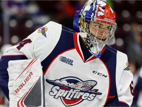Goaltender Mike DiPietro of the Windsor Spitfires has got his game back on track.