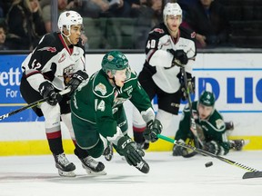 Justin Sourdif of the Vancouver Giants tussles with Riley Sutter of the Everett Silvertips on Saturday in Everett.