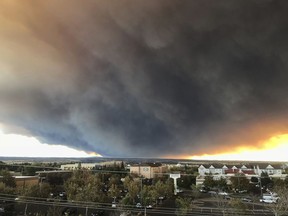 The massive plume from the Camp Fire, burning in the Feather River Canyon near Paradise, Calif., wafts over the Sacramento Valley as seen from Chico, Calif., on Thursday, Nov. 8, 2018. Authorities in Northern California have ordered mandatory evacuations in a rural area where the wildfire has grown to 1,000 acres (405 hectares) amid hot and windy weather.