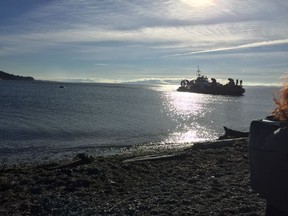 A dead humpback whale washed up on the shore in Tsawwassen Friday. It was towed away by the Coast Guard for a necropsy.