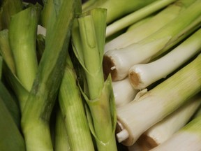 Gardeners who have more than one variety of leeks, are well advised to dig and use the less hardy ones now.