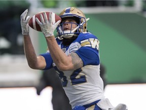 Winnipeg's Drew Wolitarsky scored on a 20-yard touchdown in the West Division semifinal against the Roughriders.