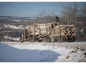 A future where forestry looks like it did 30 or 40 years ago is out of the question. It’s just not an option anymore.