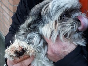 Metro Vancouver Transit Police say a dog was shot in the paw during a dispute over the sale of a cellphone near Metrotown SkyTrain station. A 28-year-old man is facing several charges.