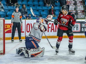 Vancouver Giants forward Justin Sourdif goes looking for a rebound while Kamloops Blazers netminder Dylan Ferguson defends his turf Wednesday in Kamloops. (Photo: Allen Douglas)