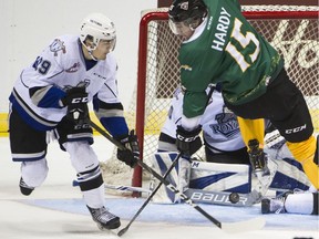 The much-improved Vancouver Giants are trying to win the B.C. Division's regular-season banner for the first time since 2009-10.