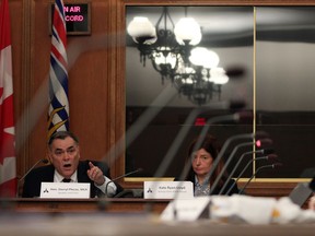 Speaker Darryl Plecas addresses MLAs on the legislative assembly management committee in December 2018.