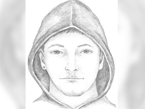 Surrey RCMP have released a composite sketch of the suspect involved in a stranger assault that occurred on Jan. 16 in the Tynehead area of Surrey.