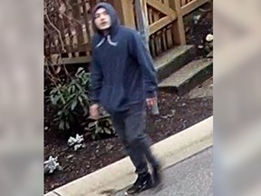 Surrey Mounties have released this photo of a suspect they allege assaulted and exposed himself to a young girl near a school in Surrey on Jan. 10.
