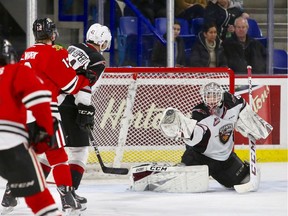 Netminder David Tendeck of the Vancouver Giants, making a save against the Portland Winterhawks last month, might start Game 1 of the playoffs Friday, but if not his friend and teammate Trent Miner will.