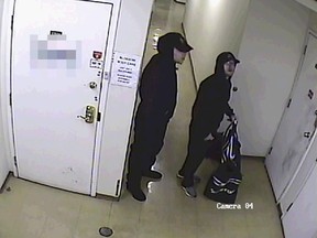 Richmond RCMP have released images of two arson suspects in a commercial building fire in the 12500-block Bridgeport Road that occurred on Nov. 29, 2018.