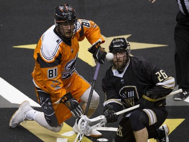 Vancouver Warriors' Zach Porter (right) and New England Black Wolves' Ryan Fournier eye the ball after a faceoff in their regular season National Lacrosse League game at Rogers Arena on Saturday, March 16, 2019.