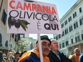 Italian farmers protest in downtown Rome on Feb. 14, 2019, demanding the government take emergency measures amid an olive oil crisis.