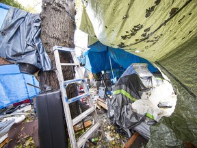 This Sep. 21, 2018, photo shows tents at the Anita Place homeless camp in Maple Ridge.