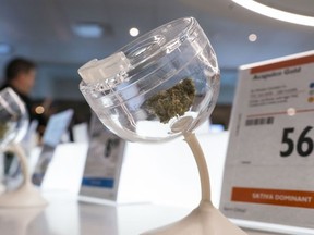 An Acapulco Gold bud sits in a sniffer inside the B.C. Cannabis Store in Kamloops.