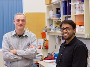 University of Alberta oncology researcher Armin Gamper (left) and PhD student Amirali Bukhari have discovered a hopeful cancer treatment.
