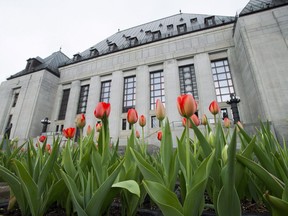 Tulips bloom in front of the Supreme Court of Canada in Ottawa on Thursday, May 10, 2018. The Supreme Court of Canada says undercover police officers do not need to obtain a judicial warrant before using email or instant-message services to communicate with someone suspected of child luring.