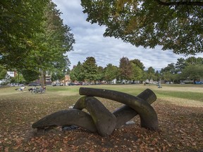 This is the Dude who's chilling at Guelph Park where the Dude Chilling Park sign was before it was stolen overnight Saturday in Vancouver, B.C., September 1, 2014. Sculpture is called "Reclining Figure" by Michael Dennis, 1991.