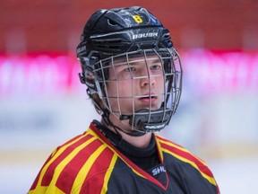 Defenceman Victor Soderstrom played in the Swedish Hockey League this season
