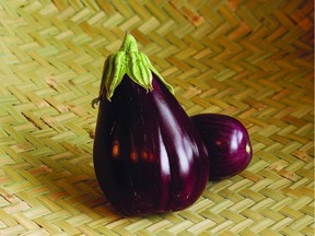 Black Beauty eggplant is easy to grow and loves the heat.