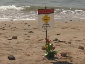 Sign on Maui beach near where a man was attacked by a shark.