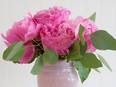 Peonies are a perennial favourite with their own festival later this month.