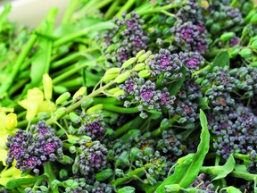 Purple Sprouting Broccoli. SUPPLIED. For 0812 col minter [PNG Merlin Archive]