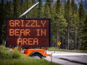 Grizzly bear warning sign in Kananaskis on Wednesday, June 20, 2018.