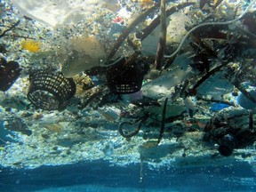 This is a file photo of the floating debris known as 'The Great Pacific Garbage Patch' in the Pacific Ocean between Hawaii and California.