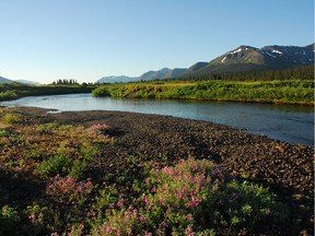 Eight U.S. senators have written to Premier John Horgan to ask for his help to protect the rivers and watersheds that flow out of B.C. into their neighbouring states.