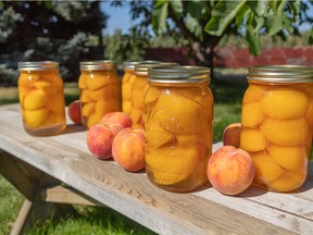 Okanagan peaches are available from late July to early September, and make fabulous preserves.