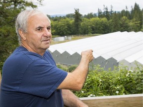 Paul Doyle shares a back fence with Tantalus Labs, a marijuana producer. Doyle and other Maple Ridge residents have complained about the odours coming from the facility. Photo: Francis Georgian/Postmedia