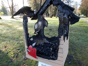 A 19-year-old and a 17-year-old, both from Port Coquitlam, have been arrested after a series of fires to community book exchange boxes known as Little Libraries.