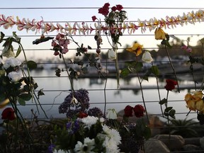 Flowers are displayed in Santa Barbara Harbor at a makeshift memorial for victims of the Conception boat fire on September 3, 2019 in Santa Barbara, California. Authorities believe none of the 34 people below deck survived after the commercial scuba diving ship caught fire and sank, while moored near Santa Cruz Island, in the early morning hours of September 2. Five crew members survived.