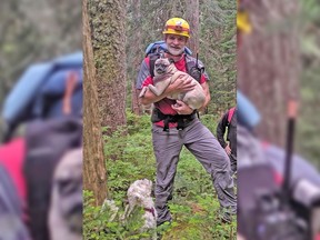 Dr. Alec Ritchie with the North Shore Search and Rescue is pictured carrying the tired pug (one of two dogs) belonging to a hiker who was lost on Mount Seymour on Sunday, Sept. 1, 2019.