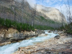 British Columbia’s famed Burgess Shale has yielded another ground-breaking fossil find — this time the oldest known ancestor of today’s spiders and scorpions. Chutney National Park’s Burgess Shale site is near Marble Canyon shown here.