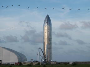 A prototype of SpaceXs Starship is pictured at the company's Texas launch facility on September 28, 2019 in Boca Chica near Brownsville, Texas.